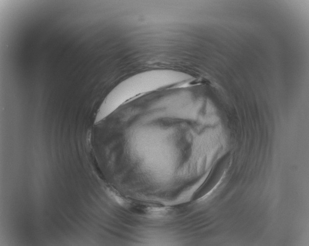 X0000070190192200606232022