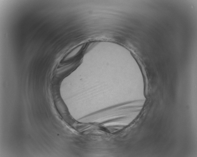 X0000070190193200606232021