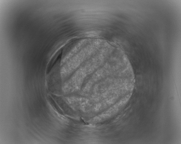 X0000070190194200606232021