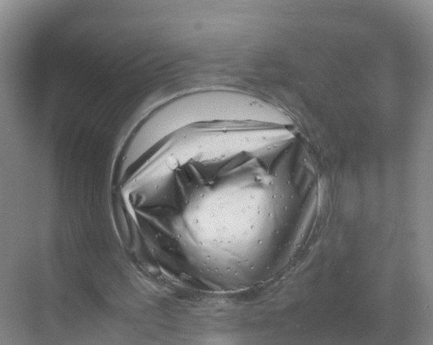 X0000070190195200606232021