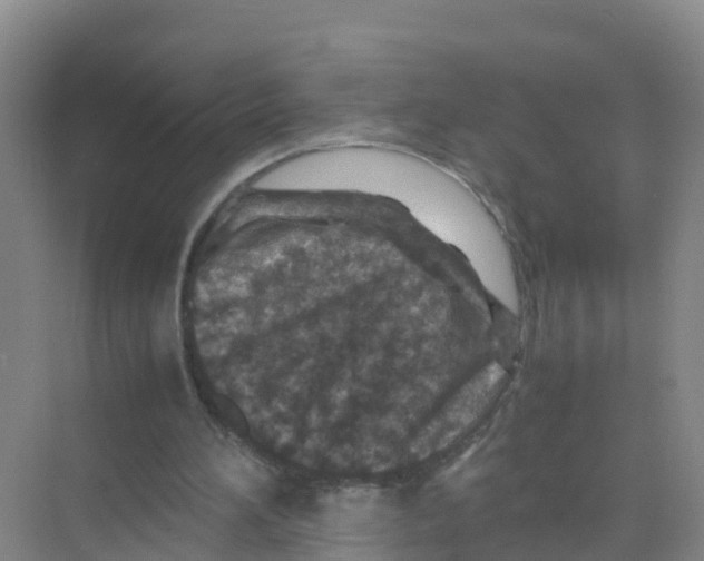 X0000070190196200606232021