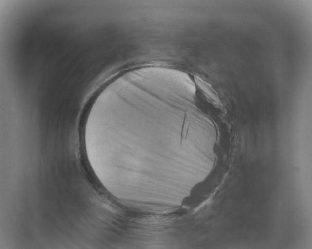 X0000070190198200606232021