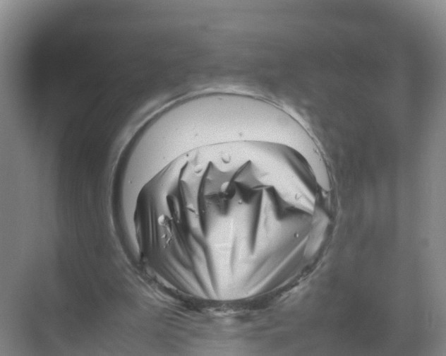 X0000070190199200606232021