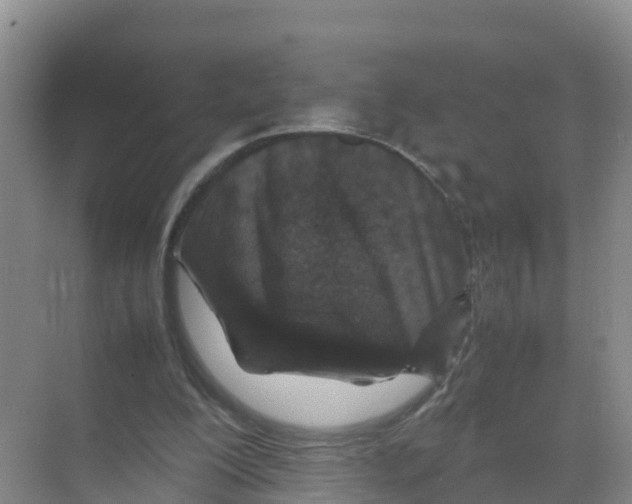 X0000070190200200606232021