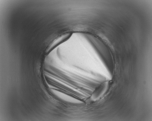 X0000070190201200606232021