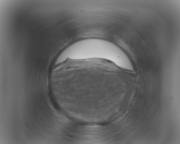 X0000070190202200606232021