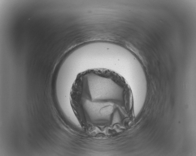 X0000070190203200606232021