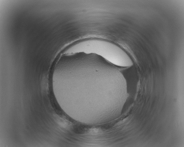 X0000070190204200606232021