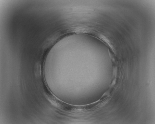 X0000070190205200606232021