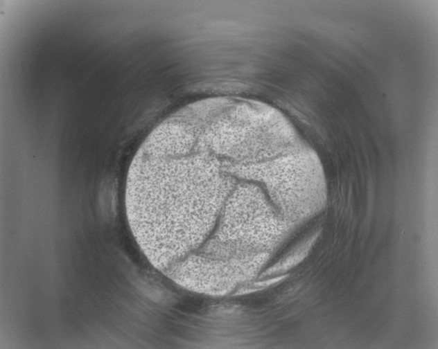 X0000070190206200606232021