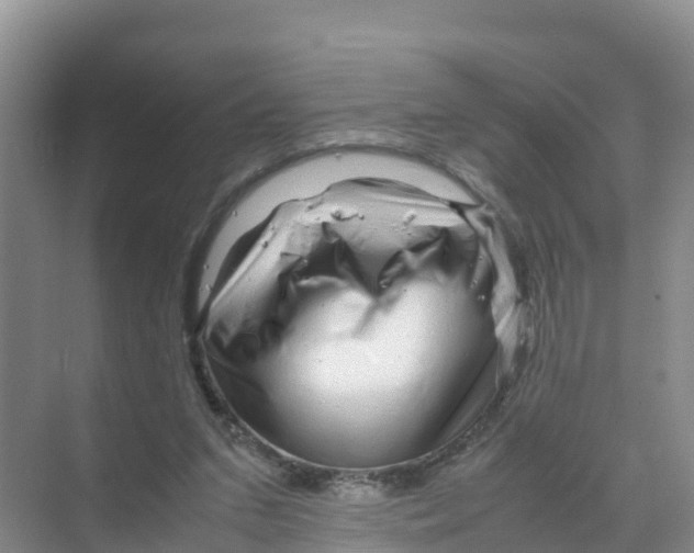 X0000070190207200606232021