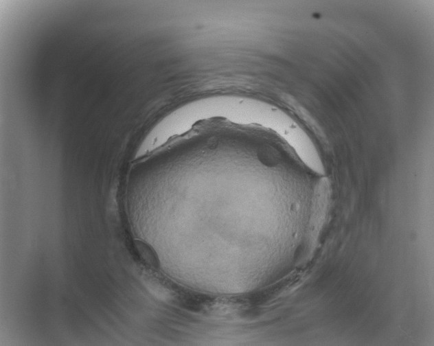 X0000070190209200606232021