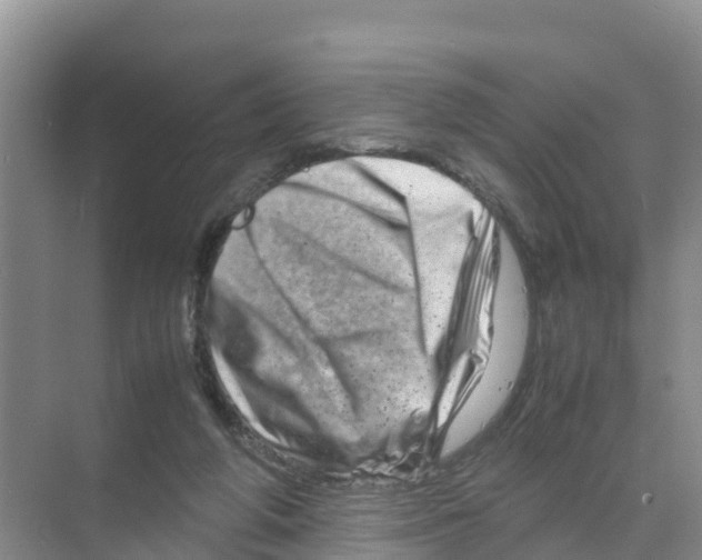 X0000070190210200606232021