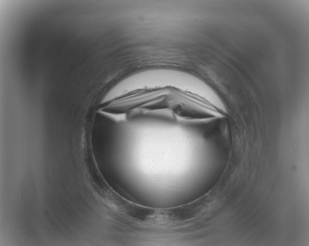 X0000070190211200606232021