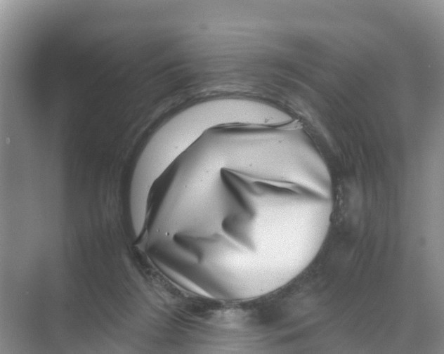 X0000070190212200606232021