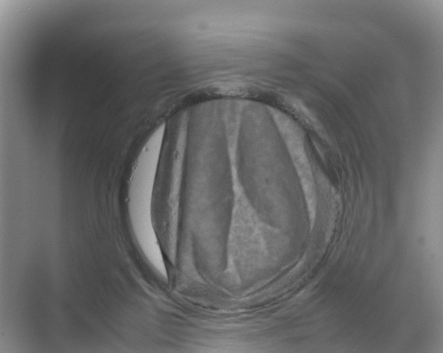 X0000070190213200606232021