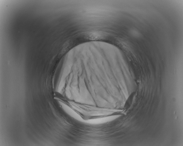 X0000070190214200606232021