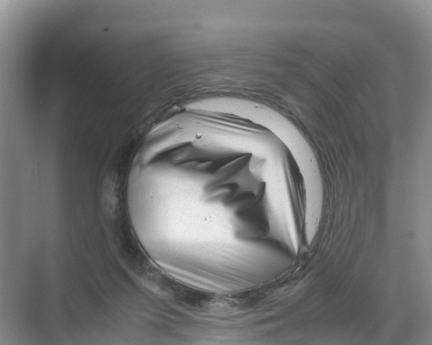 X0000070190215200606232021