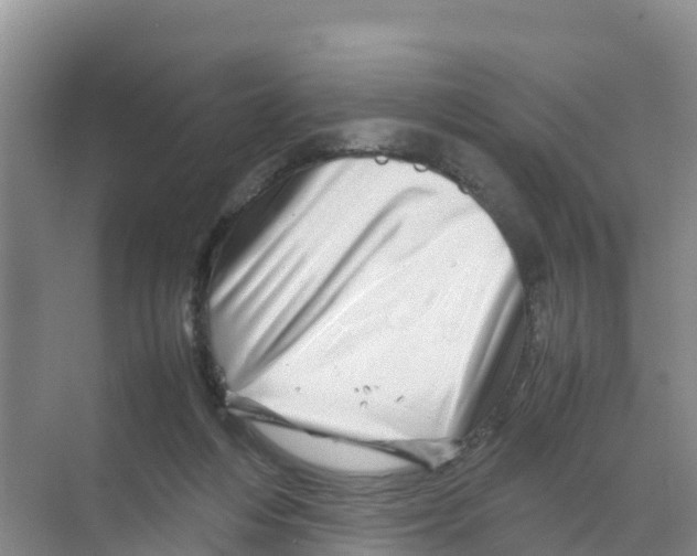 X0000070190216200606232021