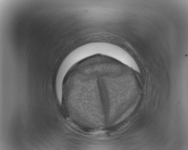 X0000070190217200606232021