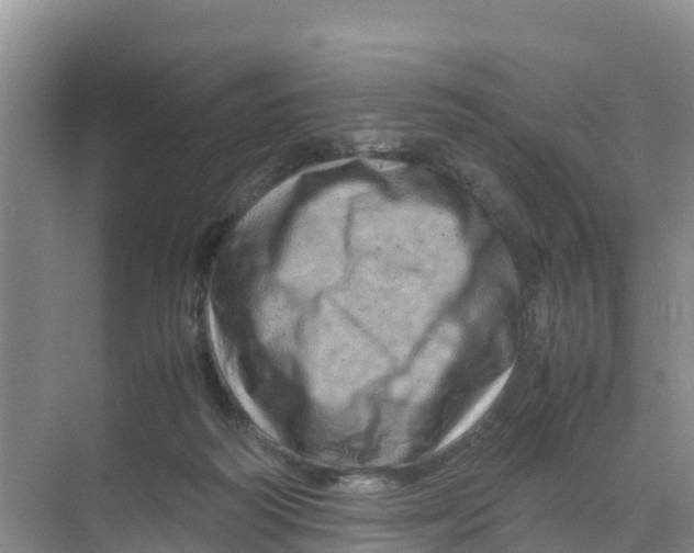 X0000070190218200606232021