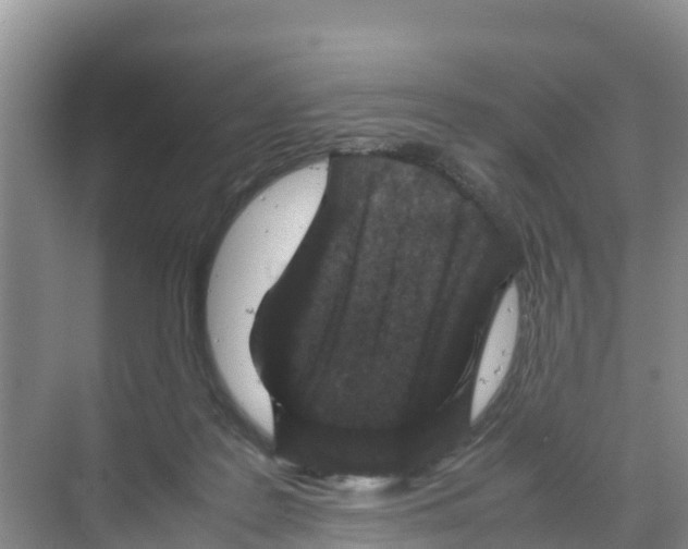 X0000070190219200606232021