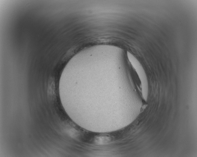 X0000070190220200606232021