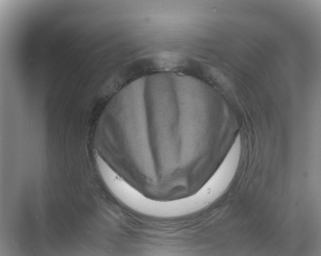 X0000070190221200606232021