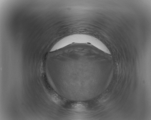 X0000070190224200606232021