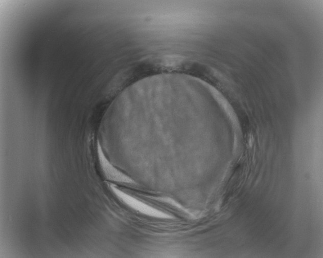 X0000070190225200606232021