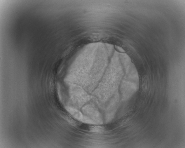 X0000070190226200606232021