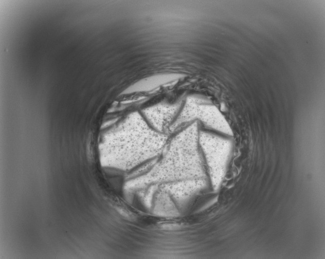 X0000070190228200606232021