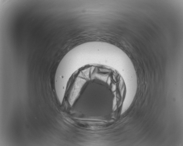 X0000070190229200606232021