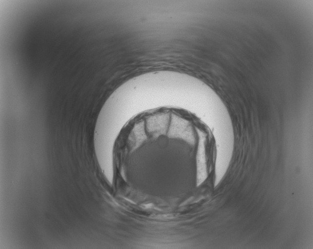 X0000070190231200606232021