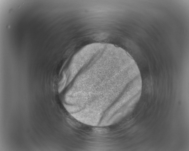 X0000070190234200606232021