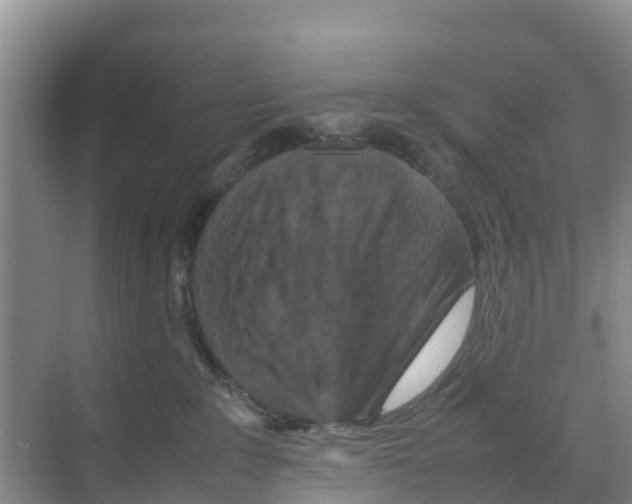 X0000070190235200606232021