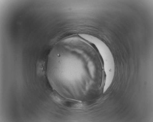 X0000070190237200606232021