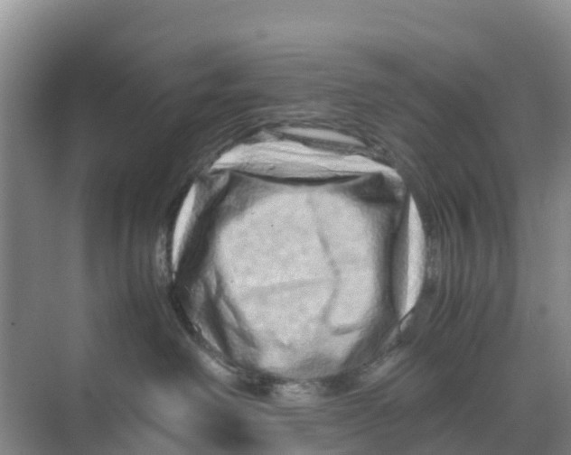 X0000070190238200606232021