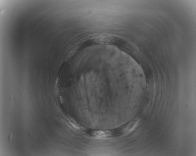 X0000070190239200606232021