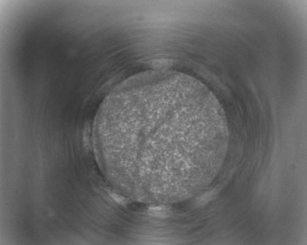 X0000070190240200606232021