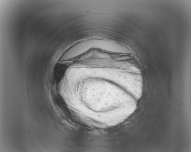 X0000070190241200606232020