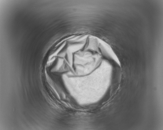 X0000070190242200606232020