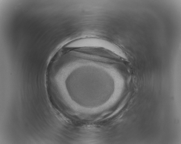 X0000070190244200606232020