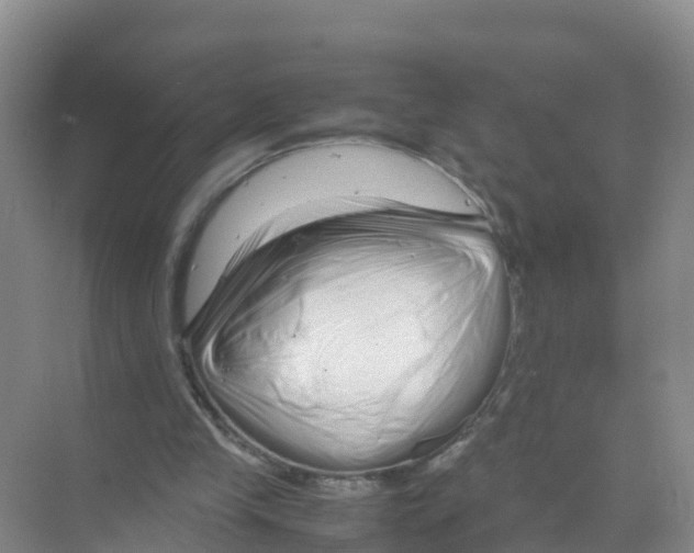 X0000070190245200606232020