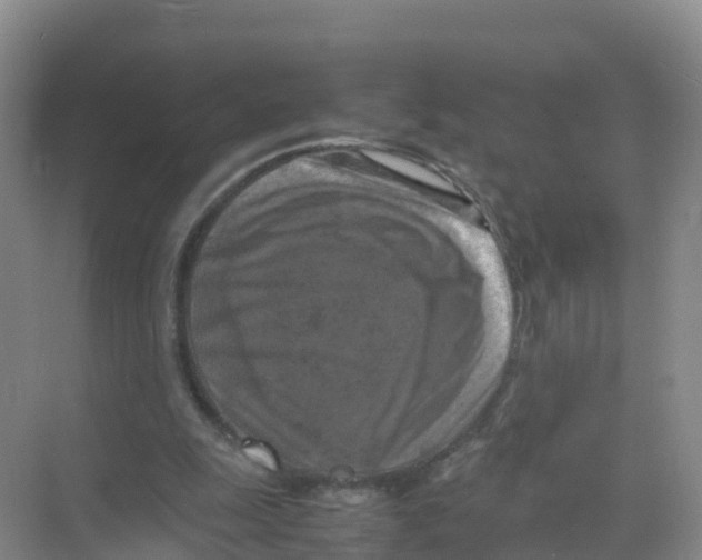 X0000070190247200606232020