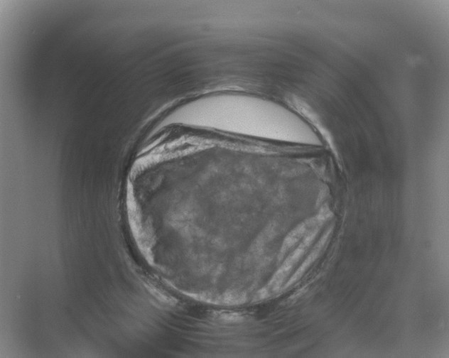 X0000070190249200606232020