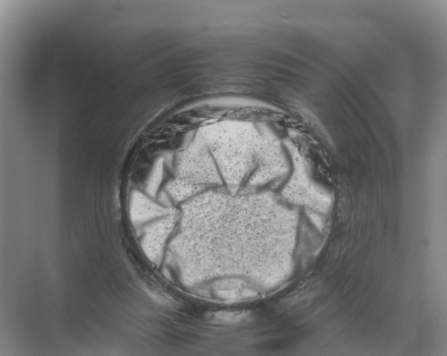 X0000070190251200606232020