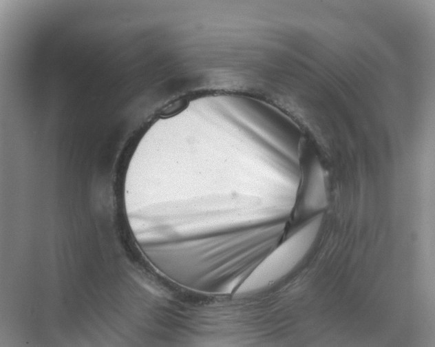 X0000070190252200606232020