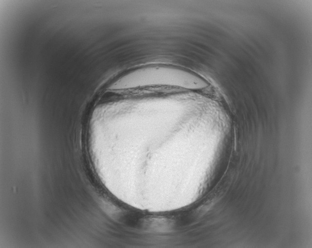 X0000070190253200606232020