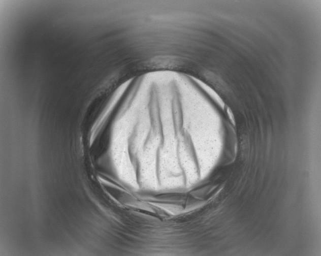 X0000070190254200606232020